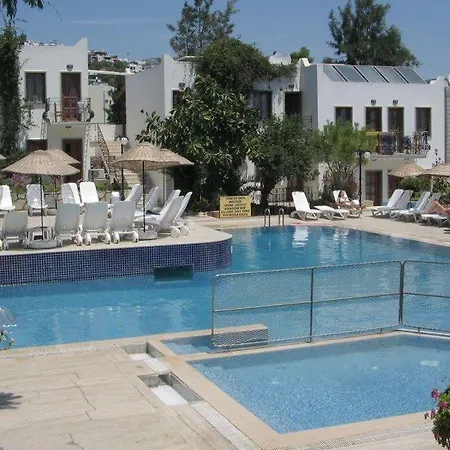 Hotel Bronze 2*