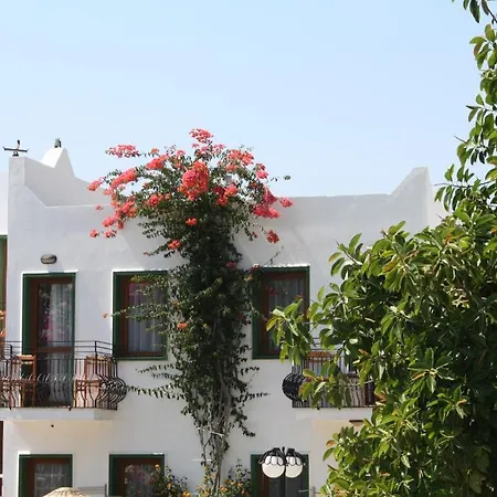 Bronze Hotel