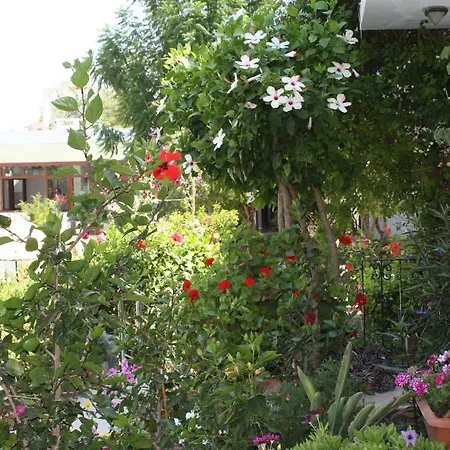 Bronze Hotel Gümbet