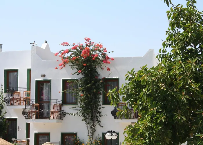 Bronze 3* ボドルム