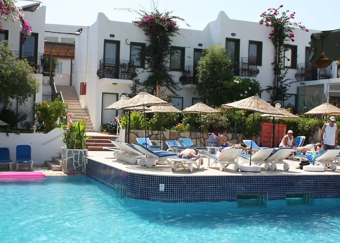 برونز بودروم