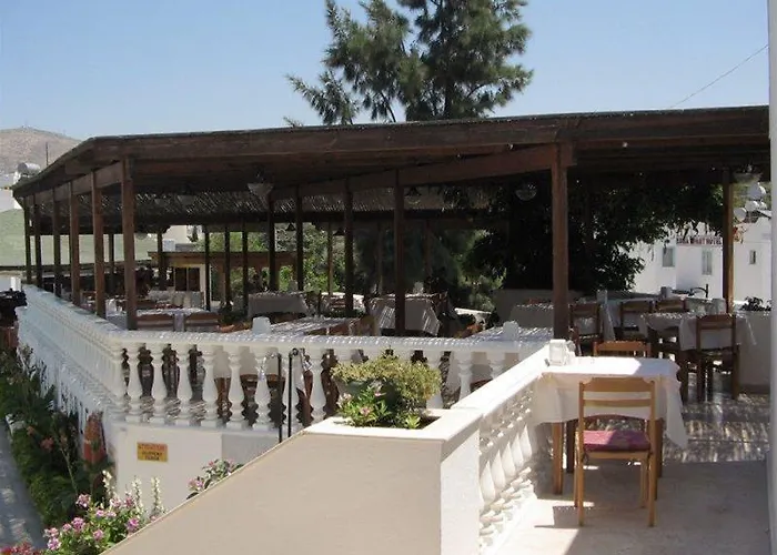 برونز 3* بودروم