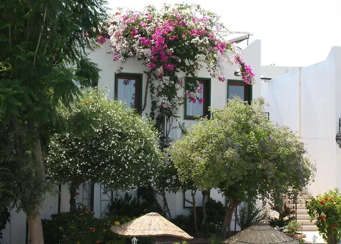 برونز فندق 3*