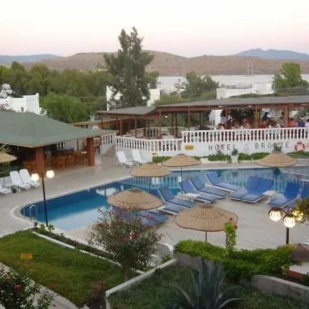 Bronze Hotel 2*